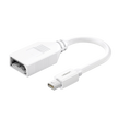 Adaptador Mini DisplayPort a DisplayPort 4K | Compatible con Thunderbolt 2 | DP 1.2 | Cable Convertidor de 15 cm | Color Blanco