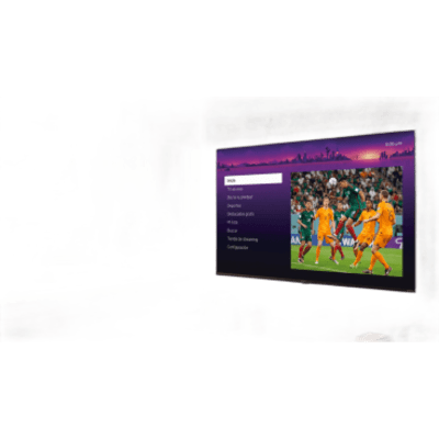 ROKU SmartTV QLED 40 Pulgadas / Dolby audio / 3 puertos HDMI / Resolucion Full HD / WiFi Integrado / VESA 100x100 mm
