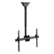 Soporte de Techo para Pantalla / VESA 200x200 a 600x400 / 37